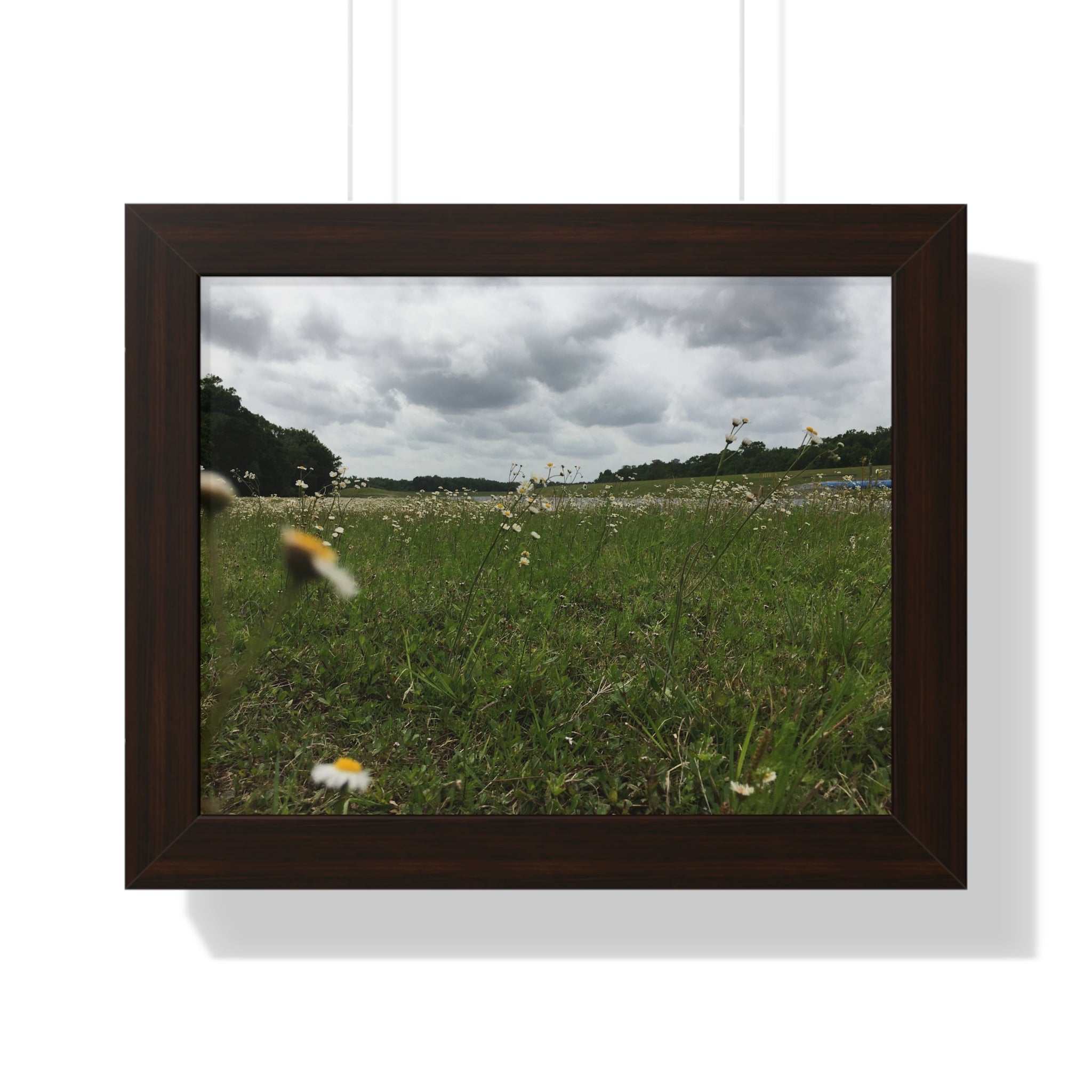 Daisy Meadow Landscape Framed Poster — Horizontal Wall Art
