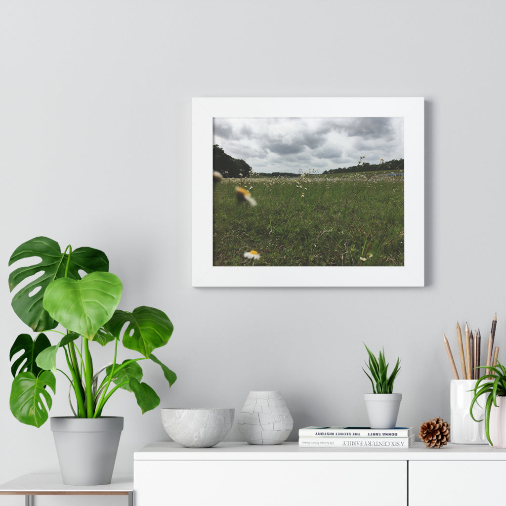 Daisy Meadow Landscape Framed Poster — Horizontal Wall Art