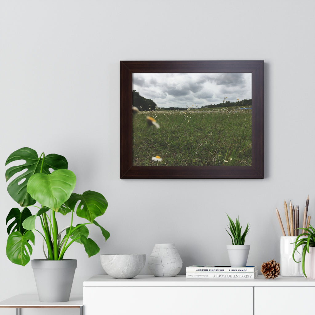 Daisy Meadow Landscape Framed Poster — Horizontal Wall Art