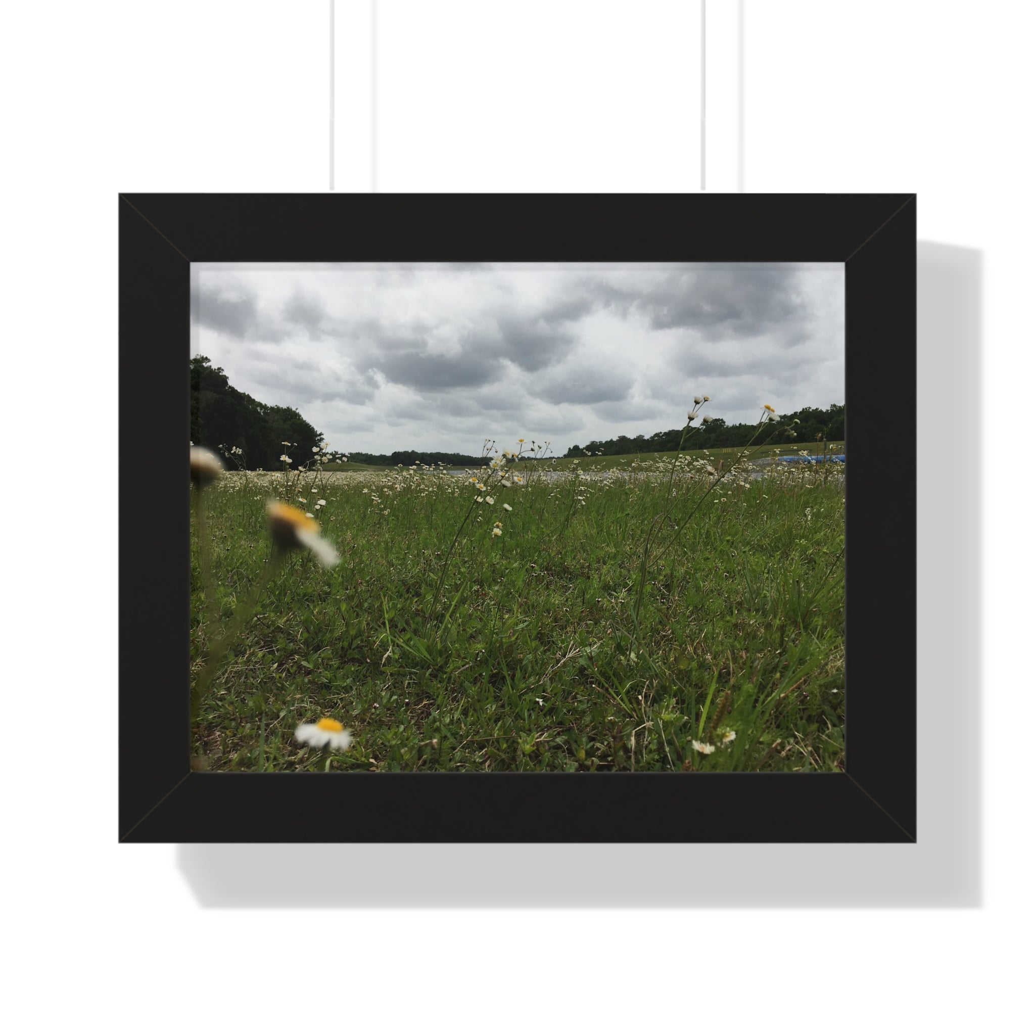 Daisy Meadow Landscape Framed Poster — Horizontal Wall Art