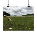 Wildflower Meadow Matte Poster — Horizontal Landscape Wall Art