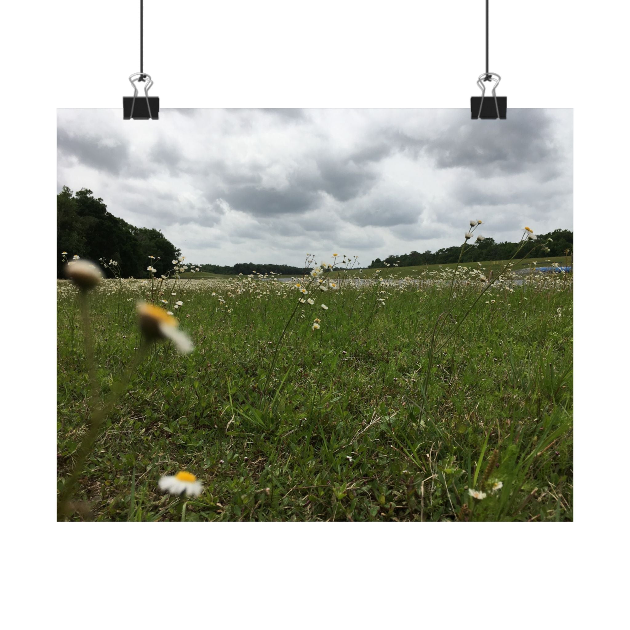 Wildflower Meadow Matte Poster — Horizontal Landscape Wall Art